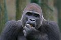 Zoo Schmiding 030